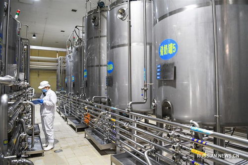 Производство молочных продуктов провинции Хэйлунцзян