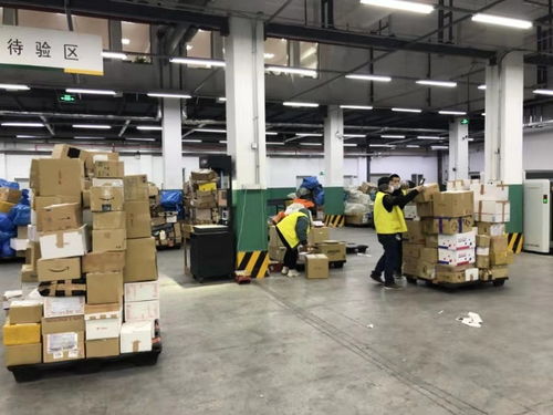 防护用品类进境包裹大量抵沪,上海海关24小时作业保障通关